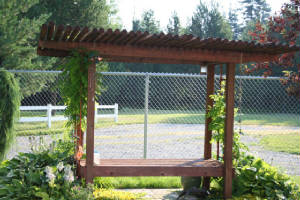 A rustic bench to enjoy the whole scene img_0534a.jpg